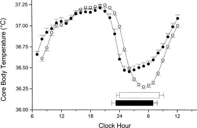 Circadian Rhythm Cycle Chart