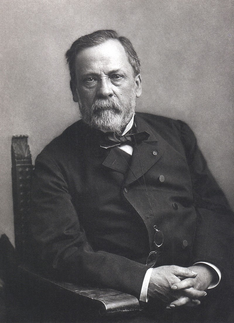 Louis Pasteur (1822-1895) was renowned for his discoveries of the principles of vaccination, microbial fermentation and pasteurization. He is remembered for his remarkable breakthroughs in the causes and preventions of diseases (hygiene)