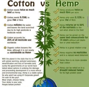 hemp