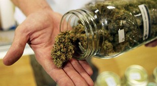 Cannabis as medicine